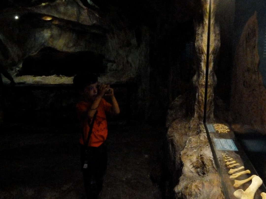 Museum Ladin Ursus ladinicus-圣卡夏诺必去景点