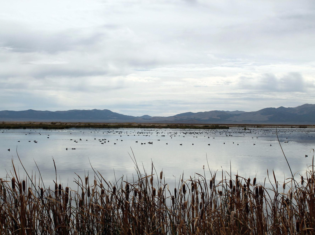Ruby Lake National Wildlife Refuge景点图片