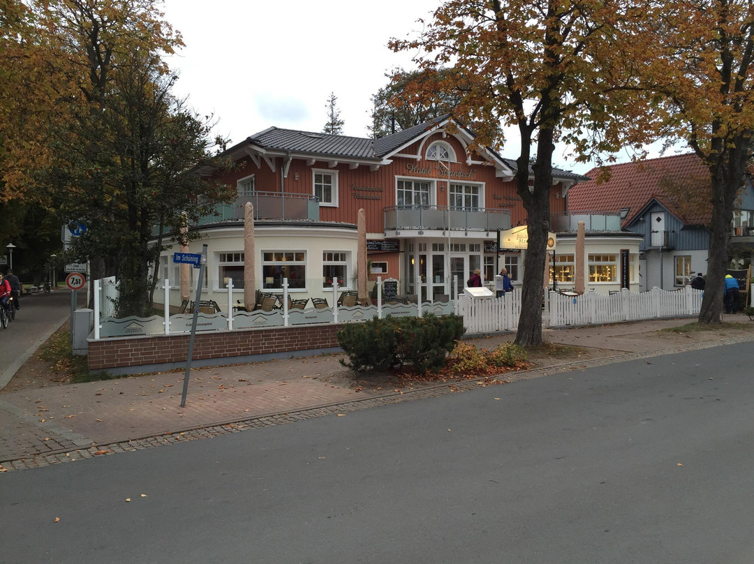 Born auf dem Darss旅游攻略图片