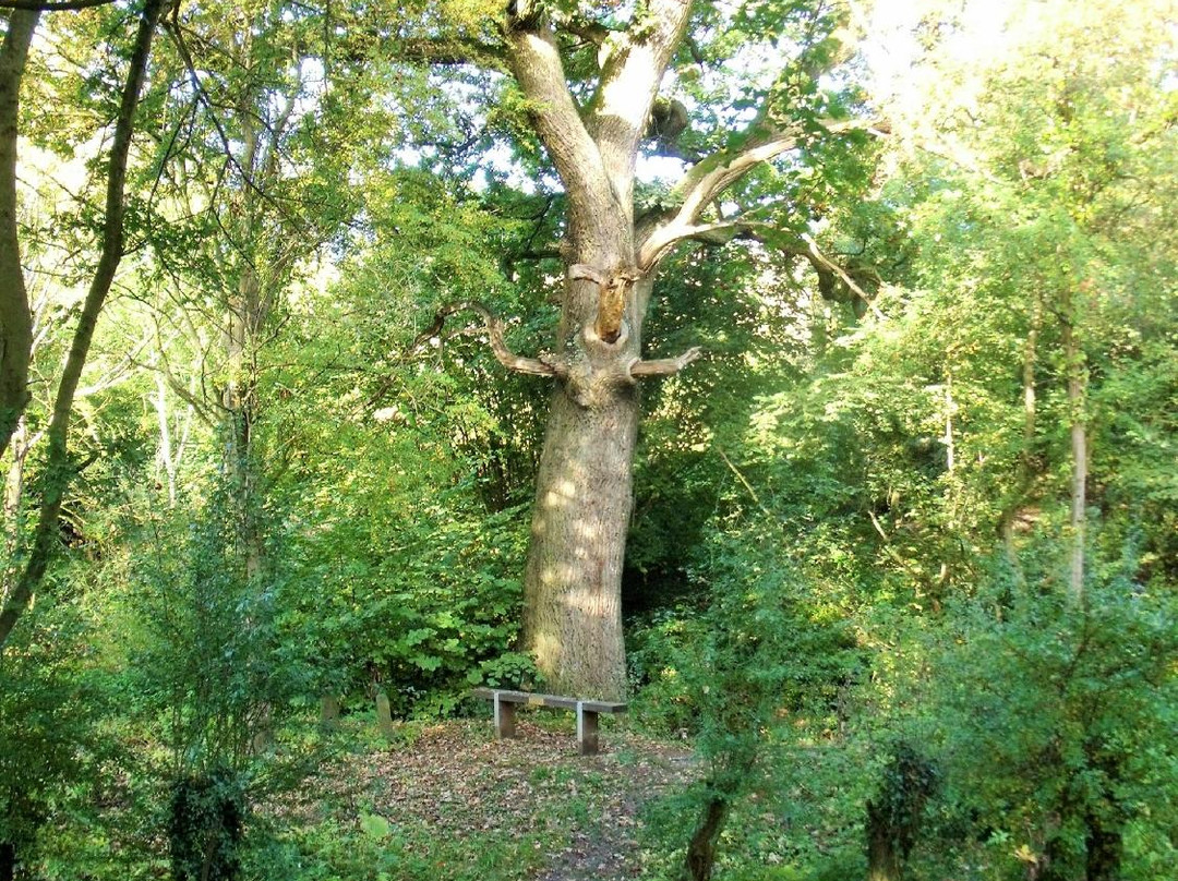 Cloud Trail-Breedon on the Hill必去景点