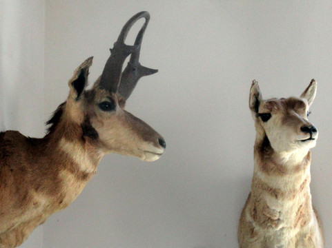 Chumash Indian Museum-千橡市必去景点