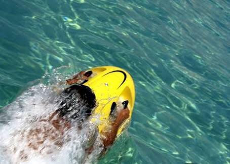 Seabob Jet Australia-凯恩斯必去景点