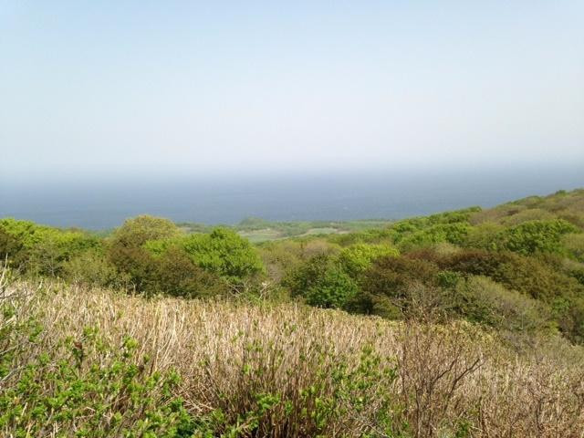 Mt.Tamashima Lookout-奥尻町必去景点
