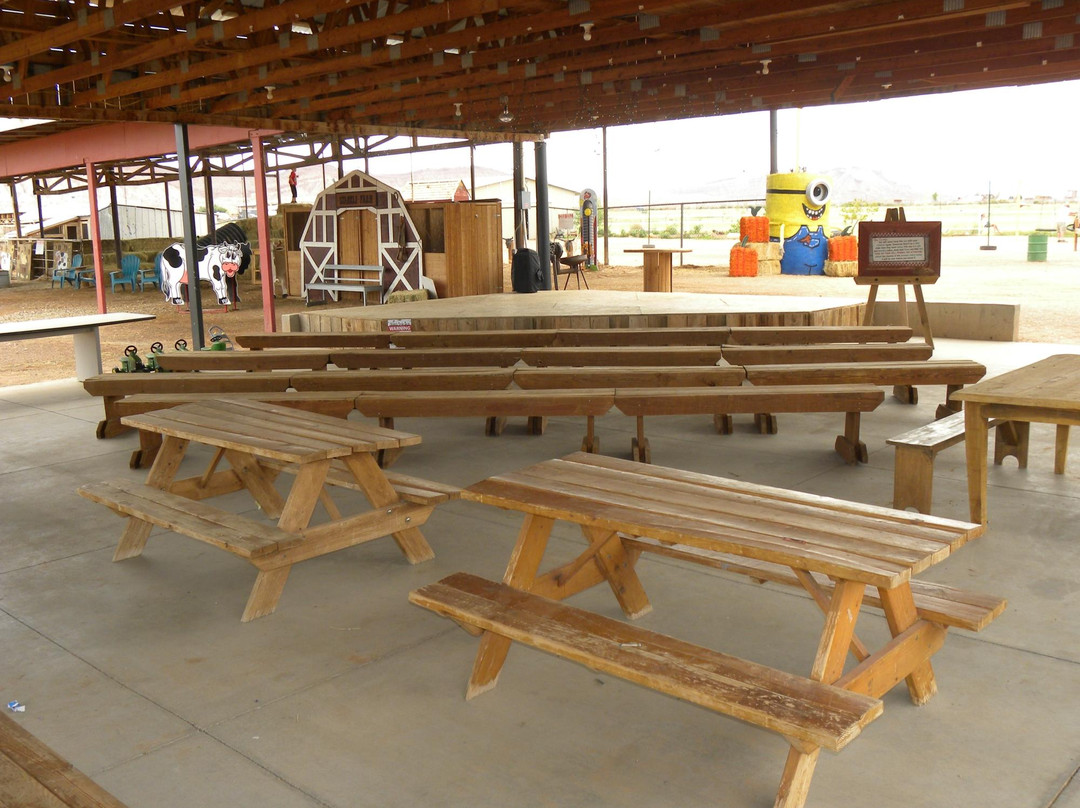 Staheli Family Corn Maze-Washington必去景点