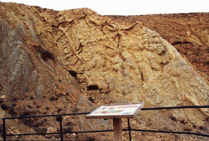 Yacimiento Paleontologico景点图片