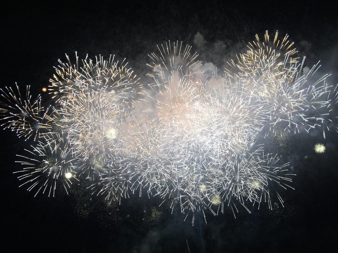 Tokyo Oval Keiokaku-调布市必去景点