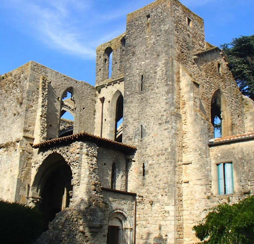 Abbaye de Villelongue景点图片