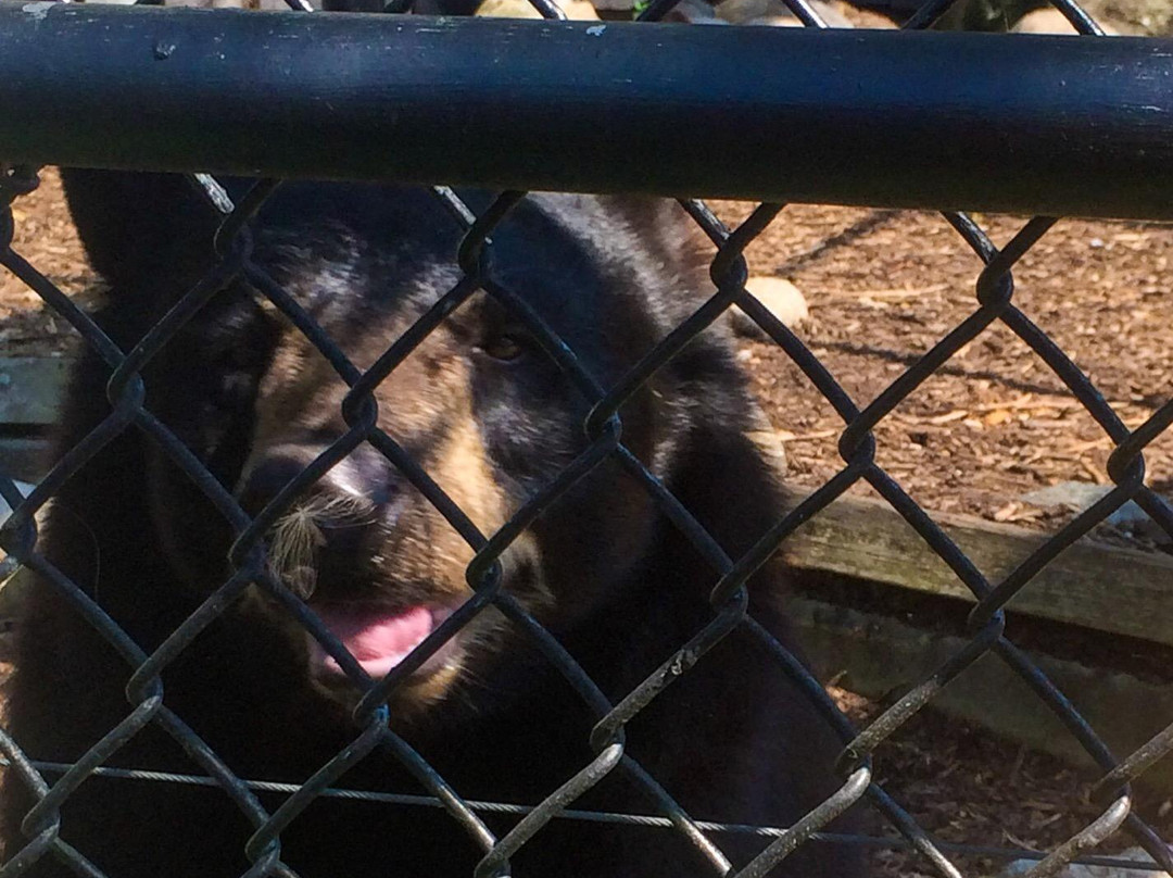 Oxbow Park and Zollman Zoo-Byron必去景点