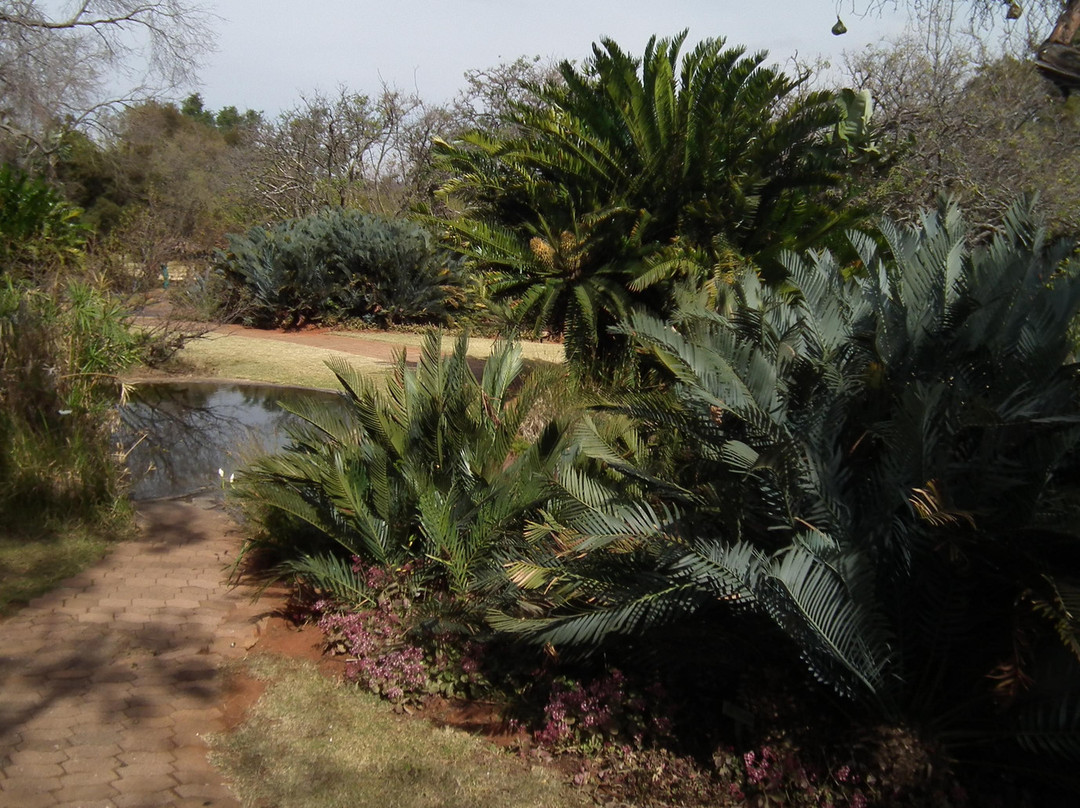 Pretoria National Botanical Garden景点图片