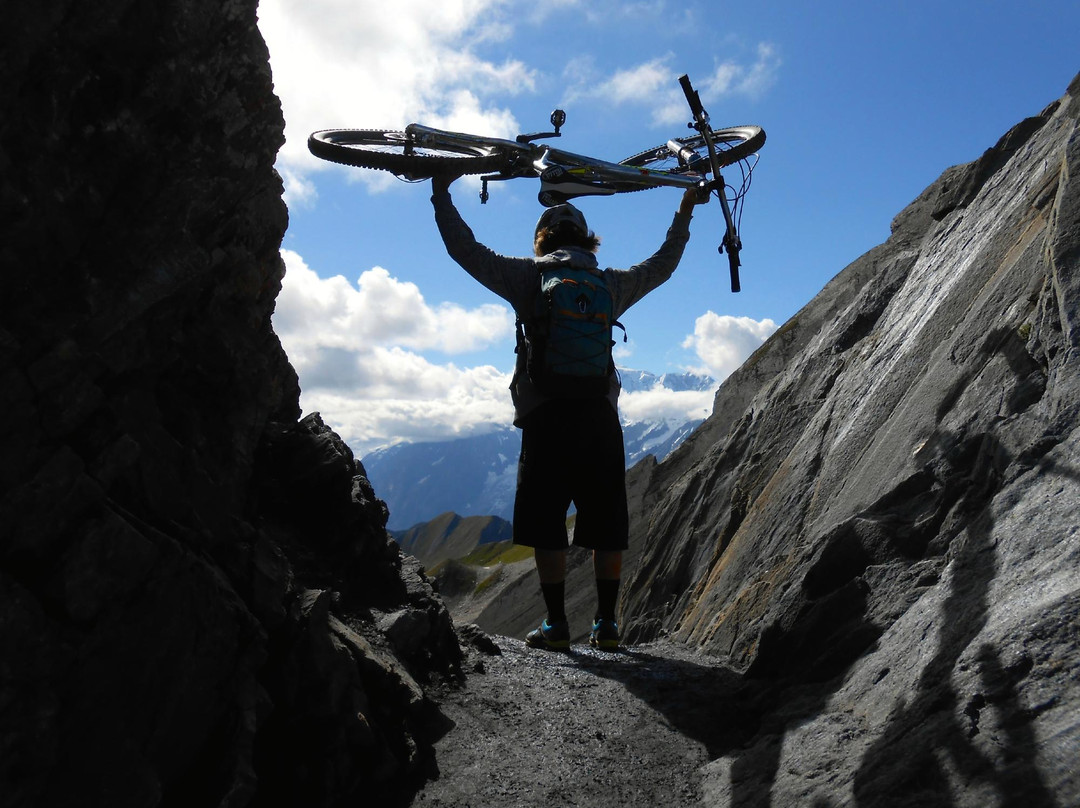 Outdoor Live - Day Adventures景点图片