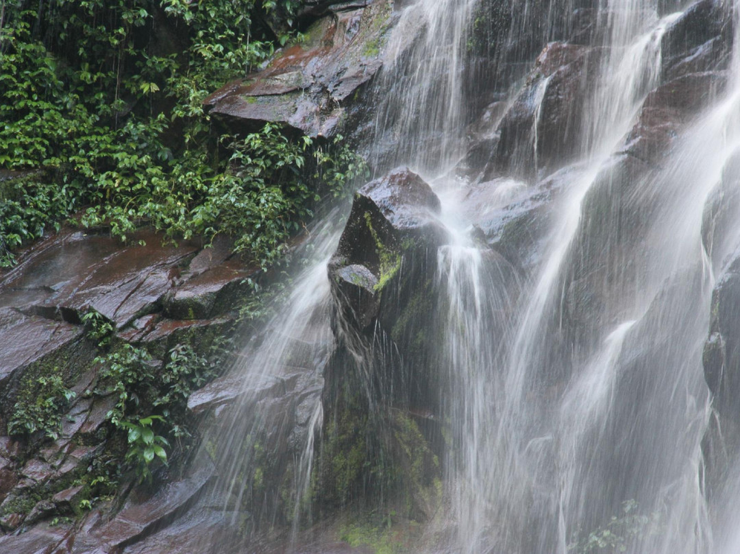 Boqueron del Padre Abad-Aguaytia必去景点
