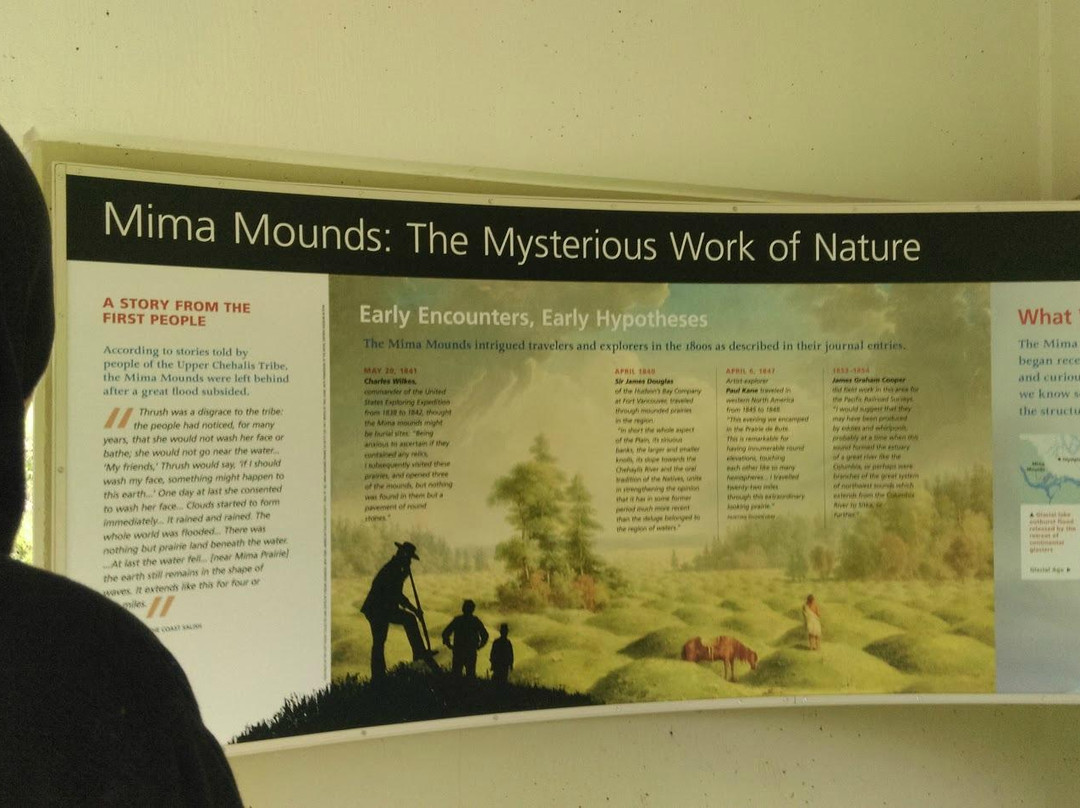Mima Mounds Natural Area Preserve-奥林匹亚必去景点