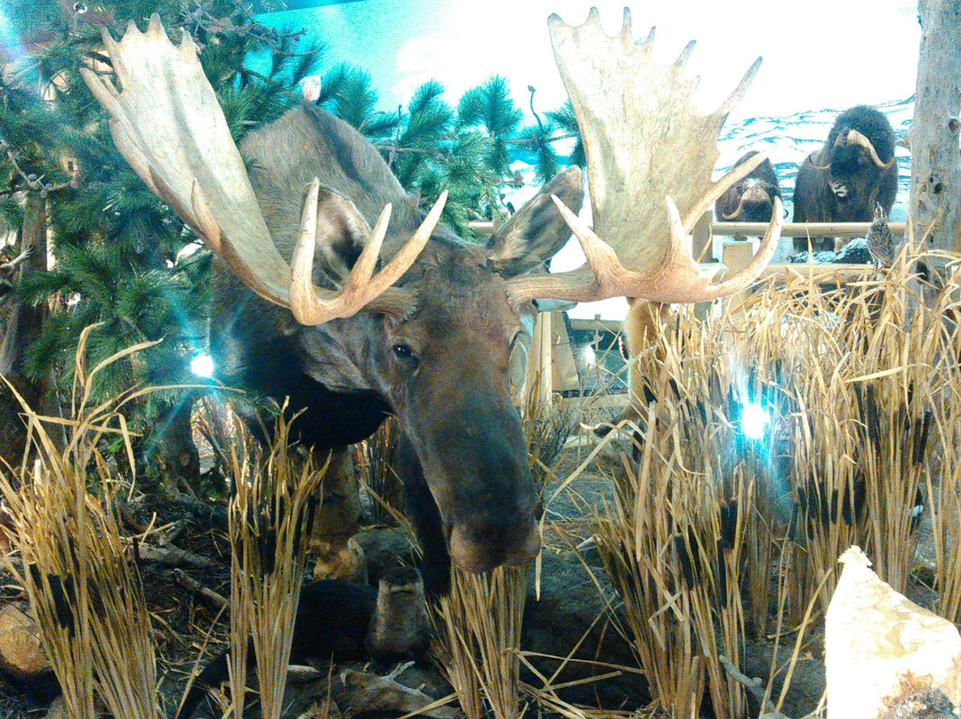 桑德地区拓荒者村博物馆-桑德必去景点