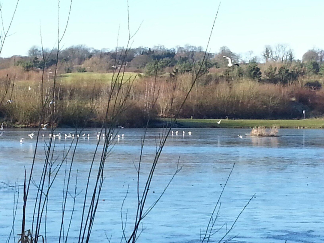 Holmebrook Valley Park景点图片