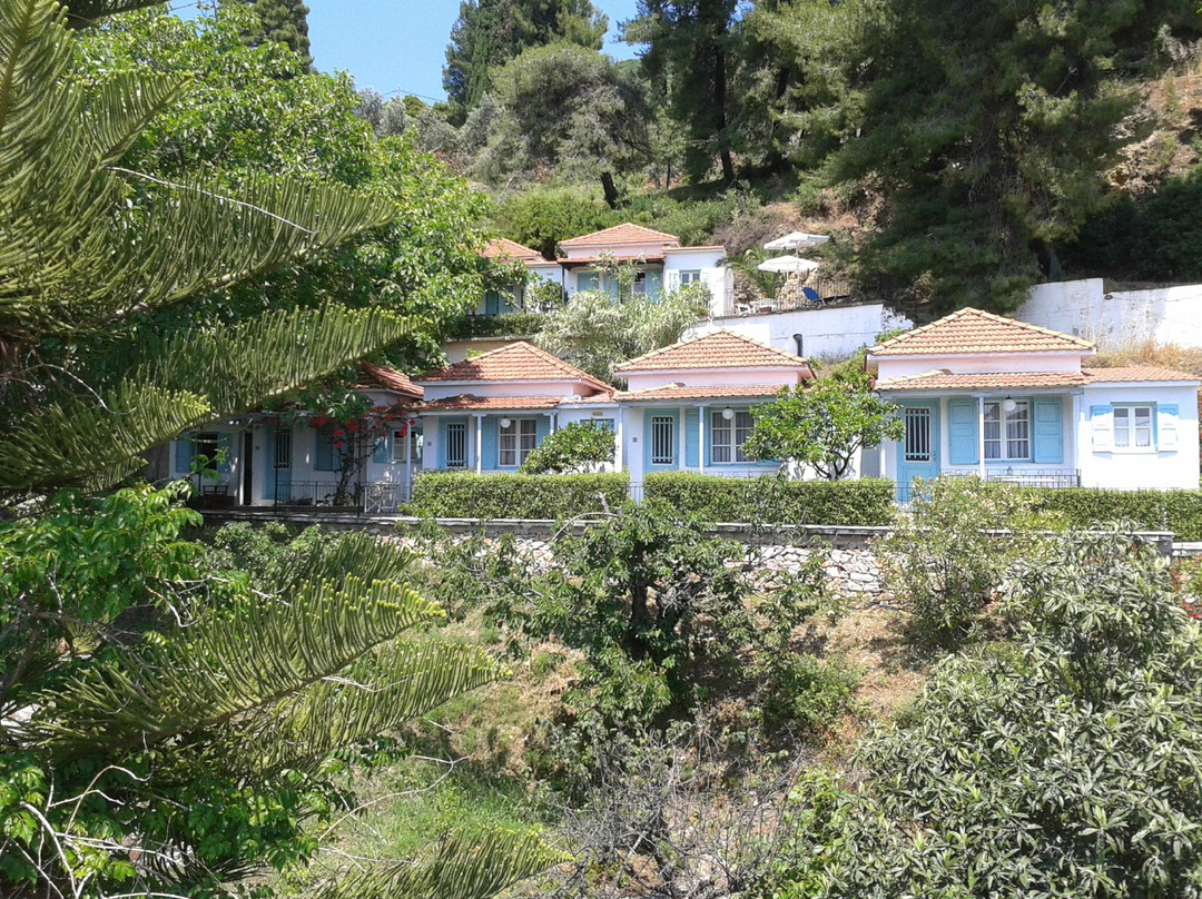 Sofia Holiday Studios