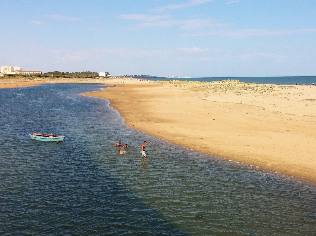 Playa de La Gaviota景点图片