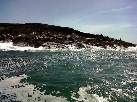 The Marine Adventure Centre-托菲诺必去景点