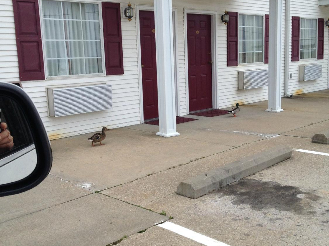 Osage Village Inn主图