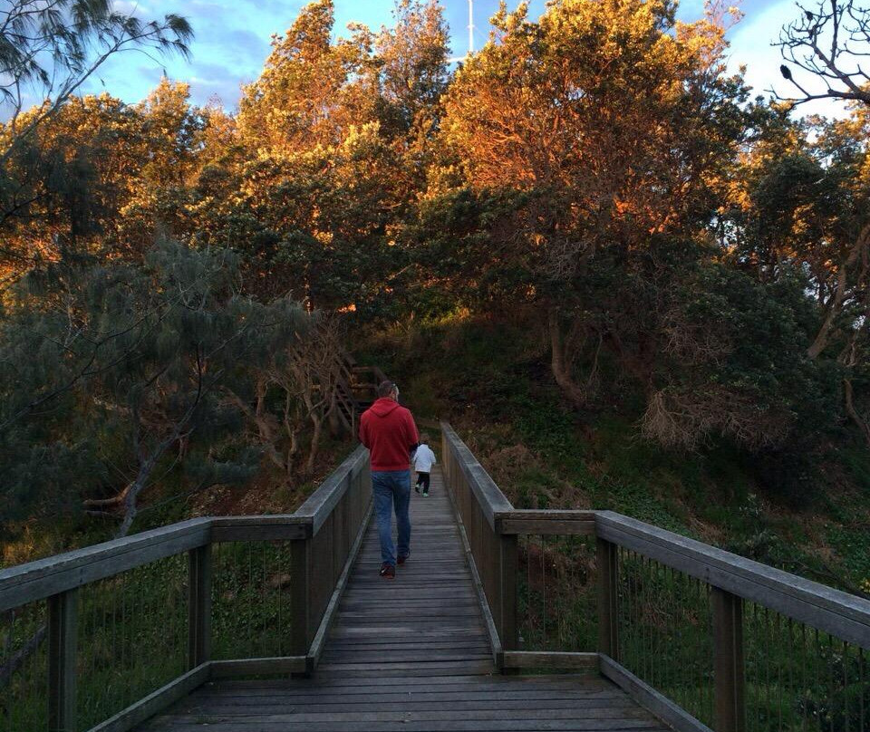 海边漫步-麦克夸利港必去景点