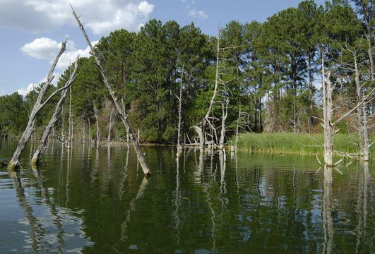 Lake Bastrop North Shore Park-巴斯特罗普必去景点