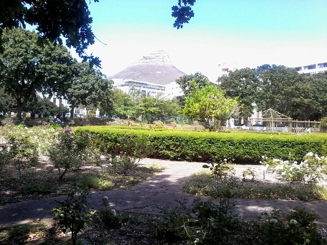 Company's Gardens-开普敦中心区必去景点