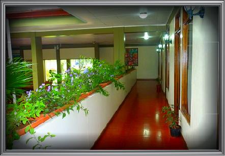 Hotel Árbol Dorado-官方