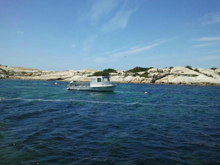 Sea-All Fishing and Marine Tours景点图片