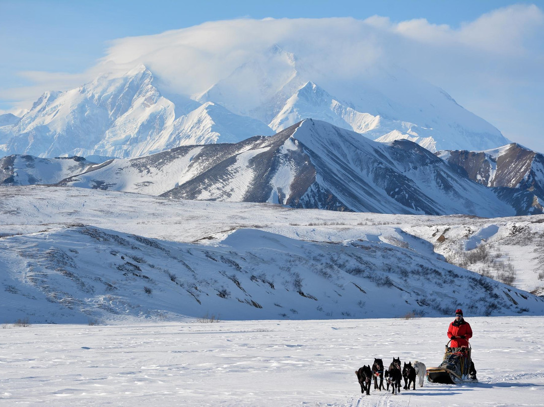 Dog Sledding Tours at EarthSong Lodge-希利必去景点