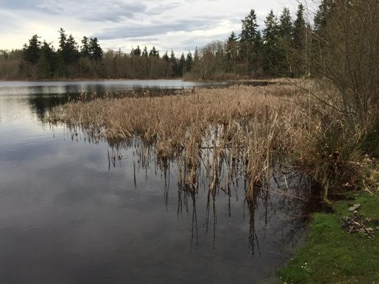 Buck Lake County Park景点图片