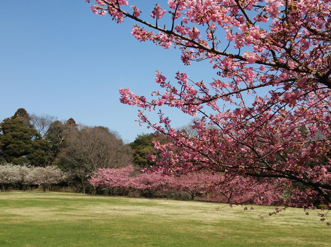 Usui Castle Site-佐仓市必去景点