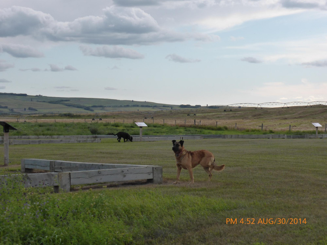 Fort Pitt Provincial Park-Frenchman Butte必去景点