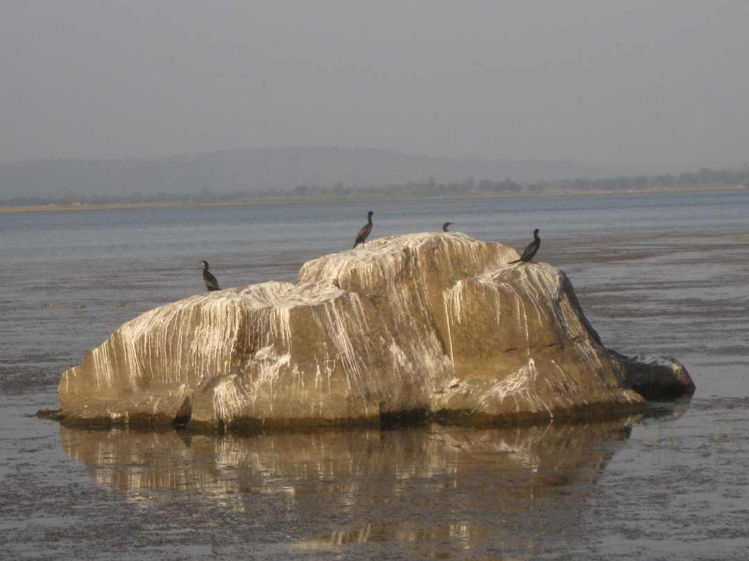 Pocharam Reservoir景点图片