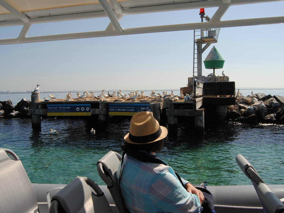 Pope's Eye-皇后崖必去景点