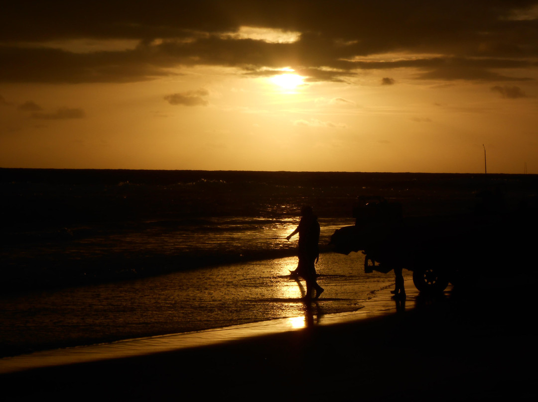 伊西曼格利索湿地公园-圣露西亚必去景点