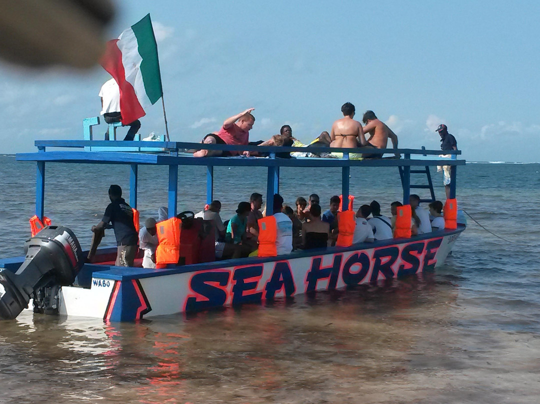 Watamu National Marine Park-瓦塔木必去景点