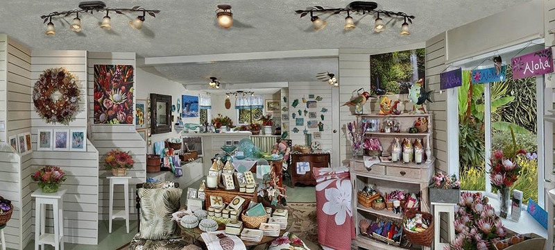 Proteas of Hawaii-库拉必去景点