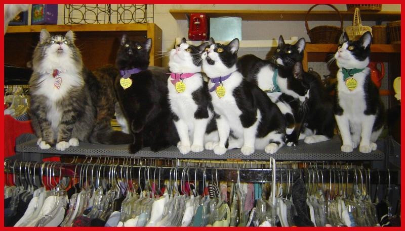 S.A.R.A.'s Treasures-尤金必去景点