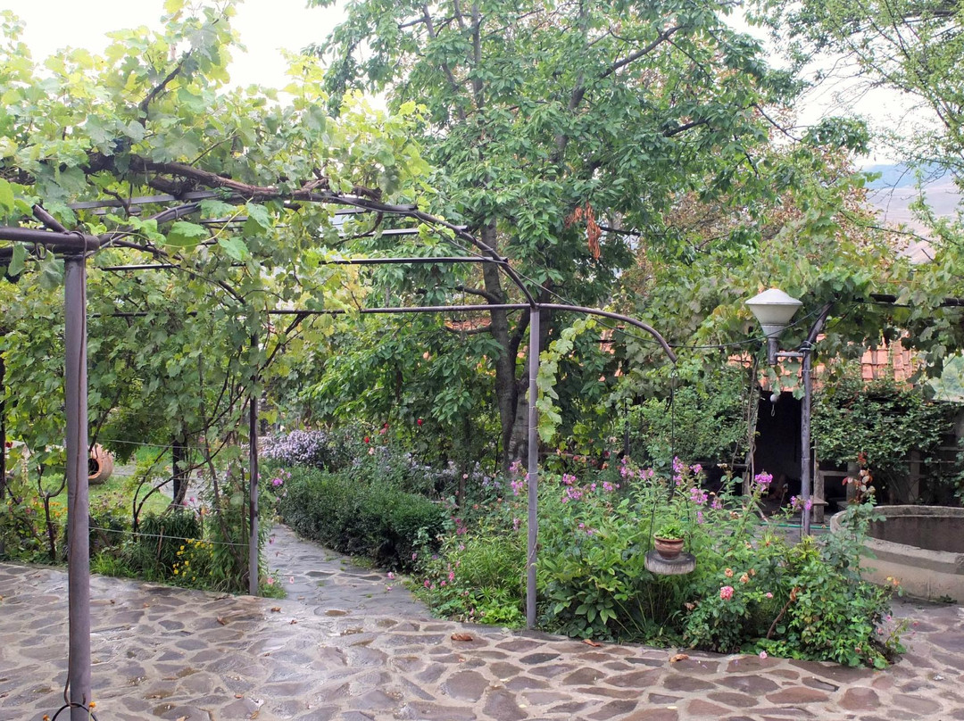 Guest House Chiko