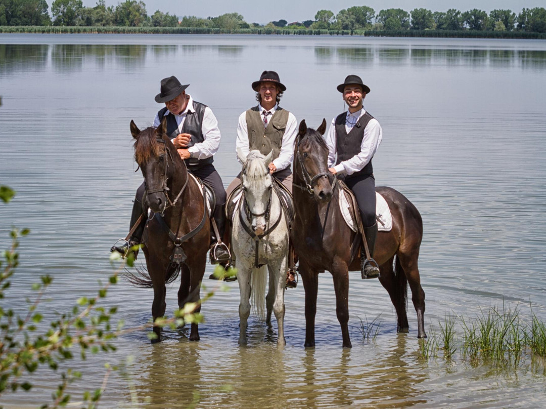 Horse Riding Tre Laghi-丘西必去景点