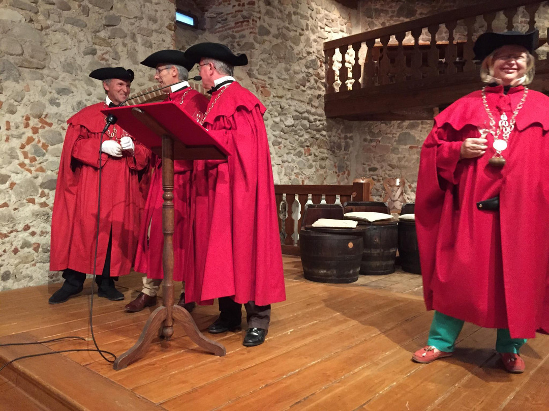Musee du Vignoble Et des Vins d'Alsace景点图片