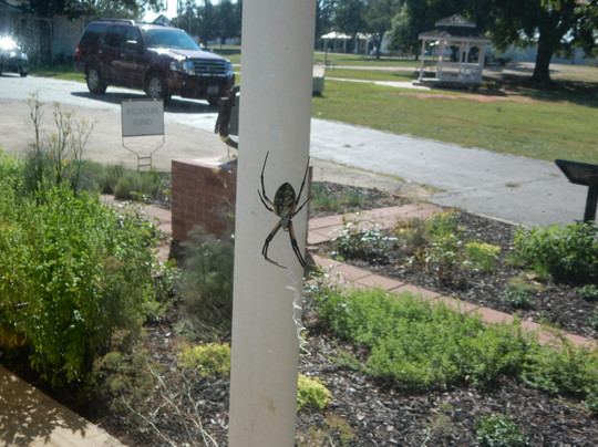 Nash Farm Battlefield-Hampton必去景点