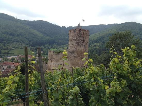 Château de Kaysersberg景点图片