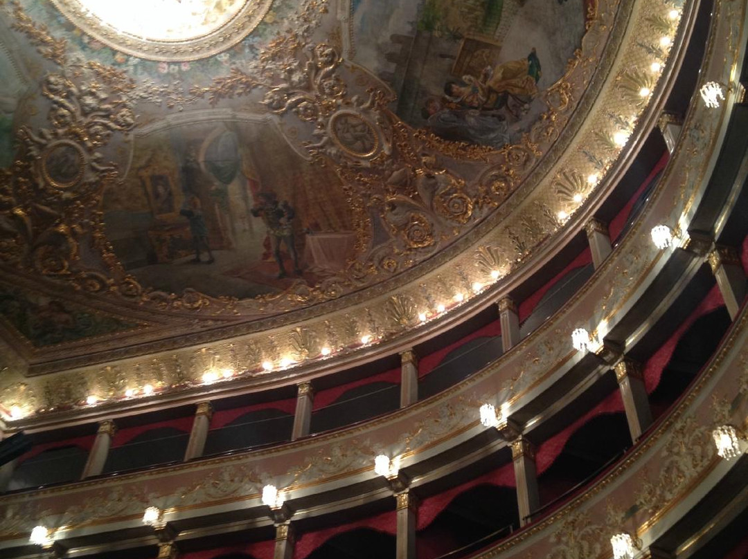 Teatro Filippo Marchetti景点图片