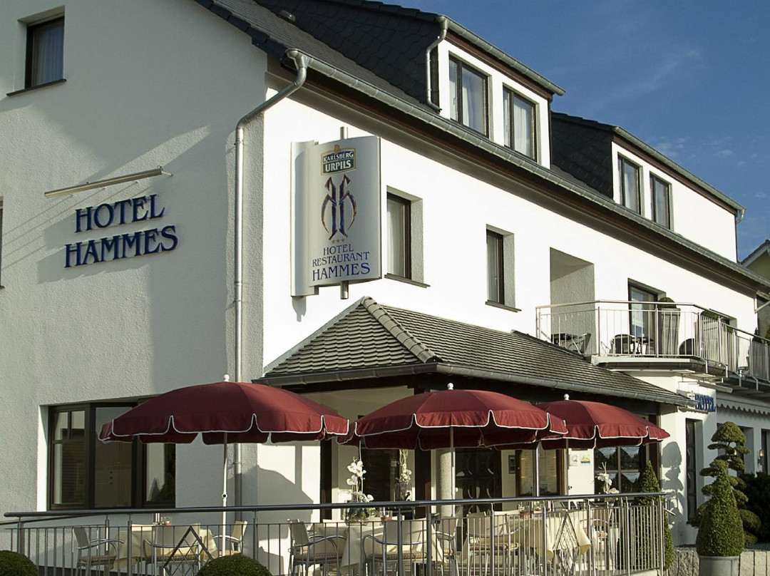 Hotel Hammes主图