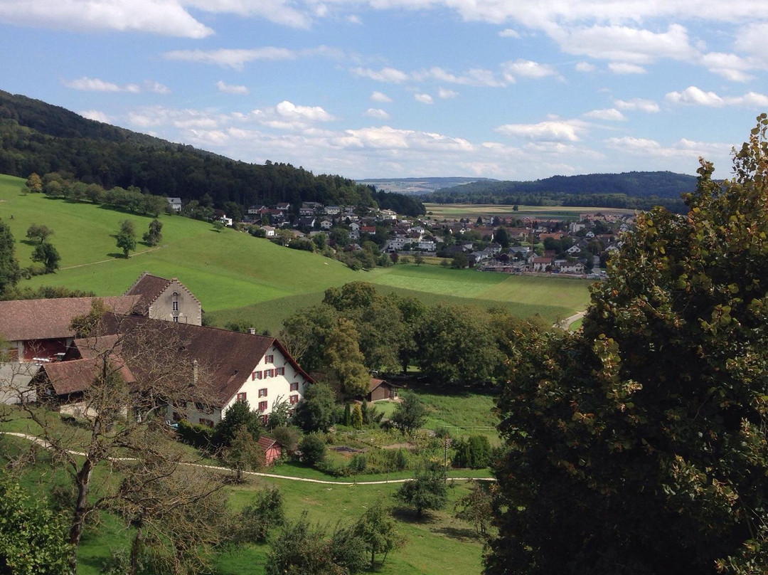 Schloss Wildegg-Wildegg必去景点