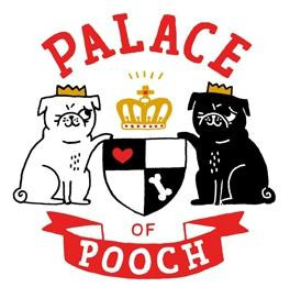 Palace Of Pooch景点图片