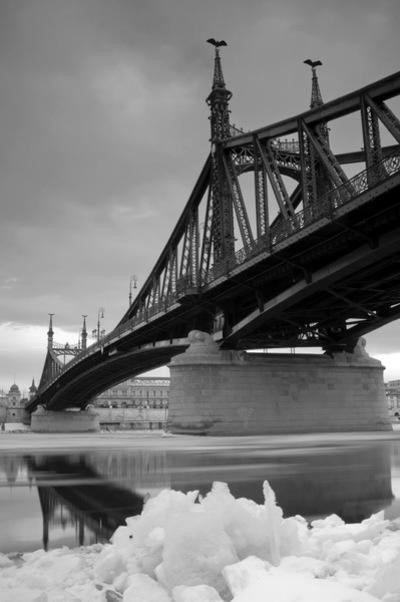 Photoh Beginner Photography Course-布里斯班必去景点