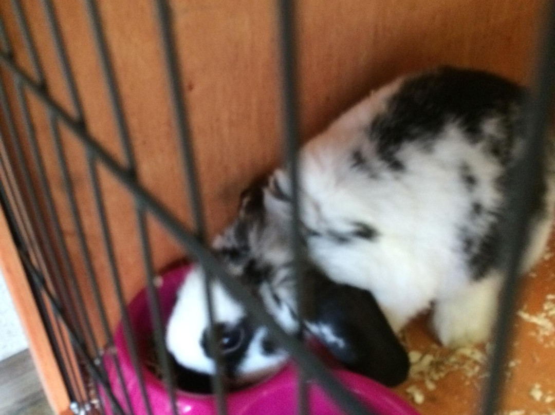 Moorwood Equine-谢菲尔德必去景点