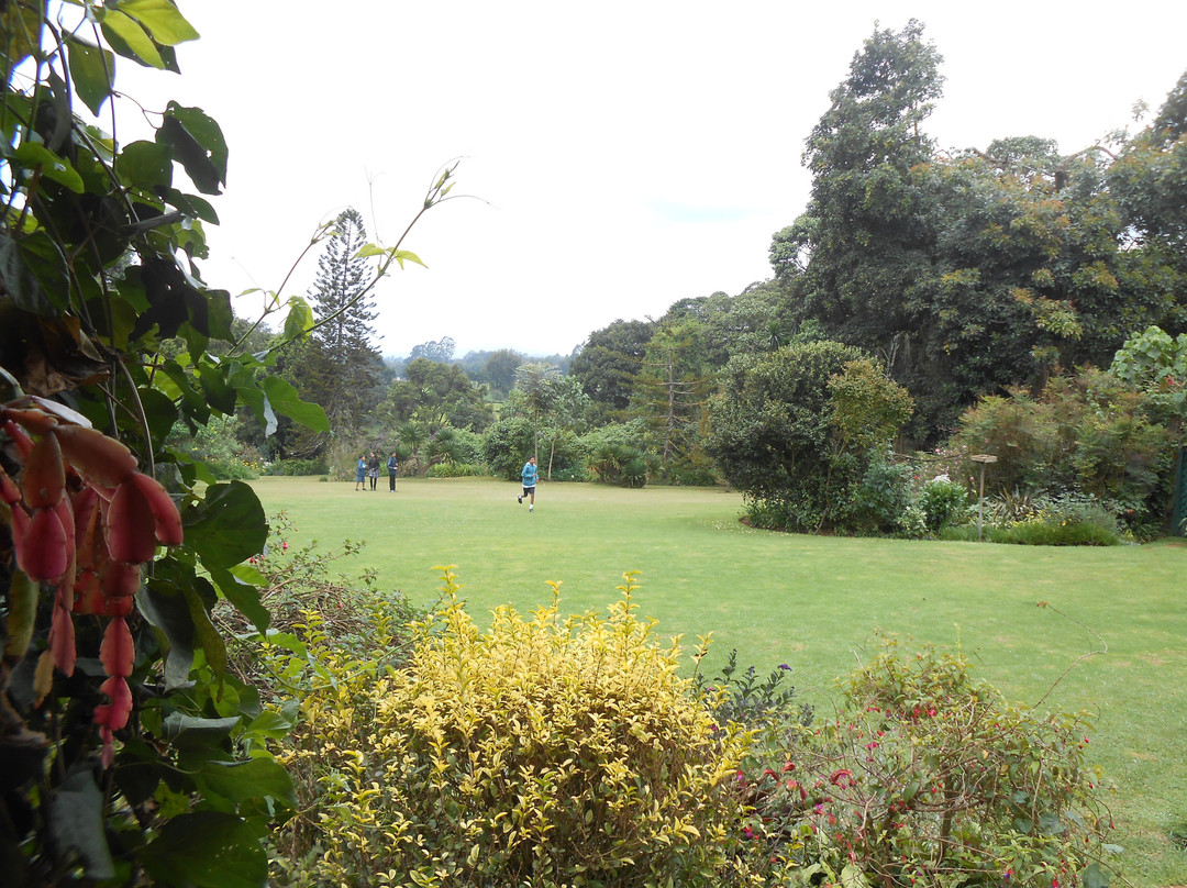 Kiambethu Farm-黎木鲁必去景点