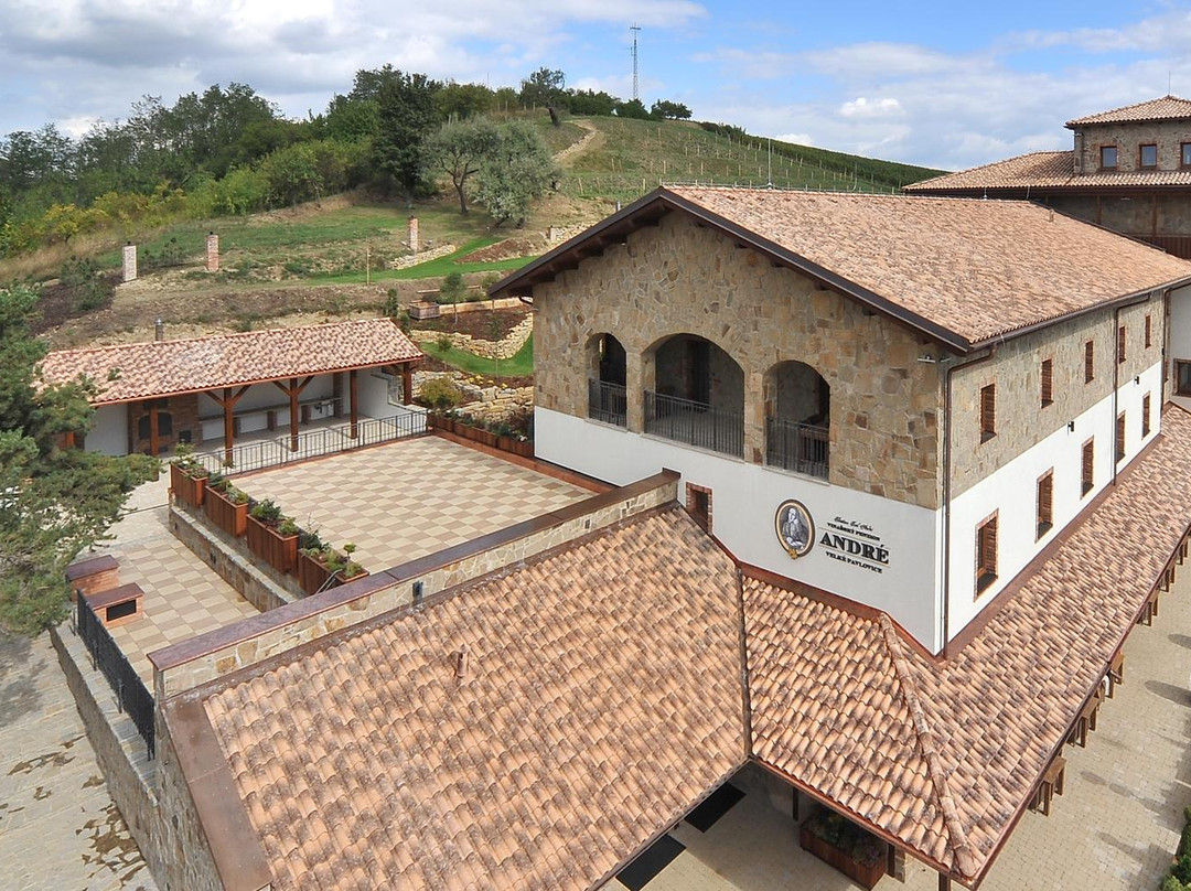 Velke Pavlovice酒店住宿-Vinarsky Pension Andre